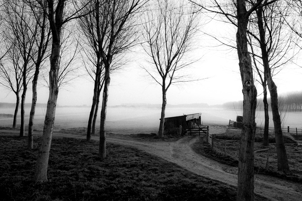 Picture of Delfgauw, THE Netherlands. 2012 © Pedro Rodrigues