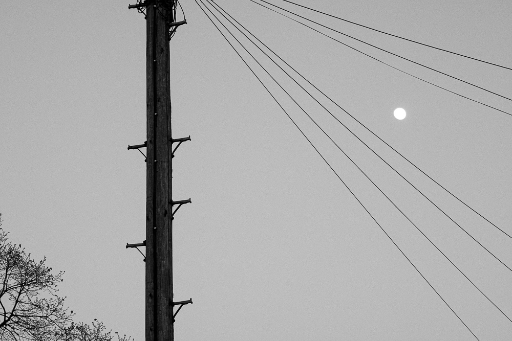 London, united kingdom. 2017 © Pedro Rodrigues